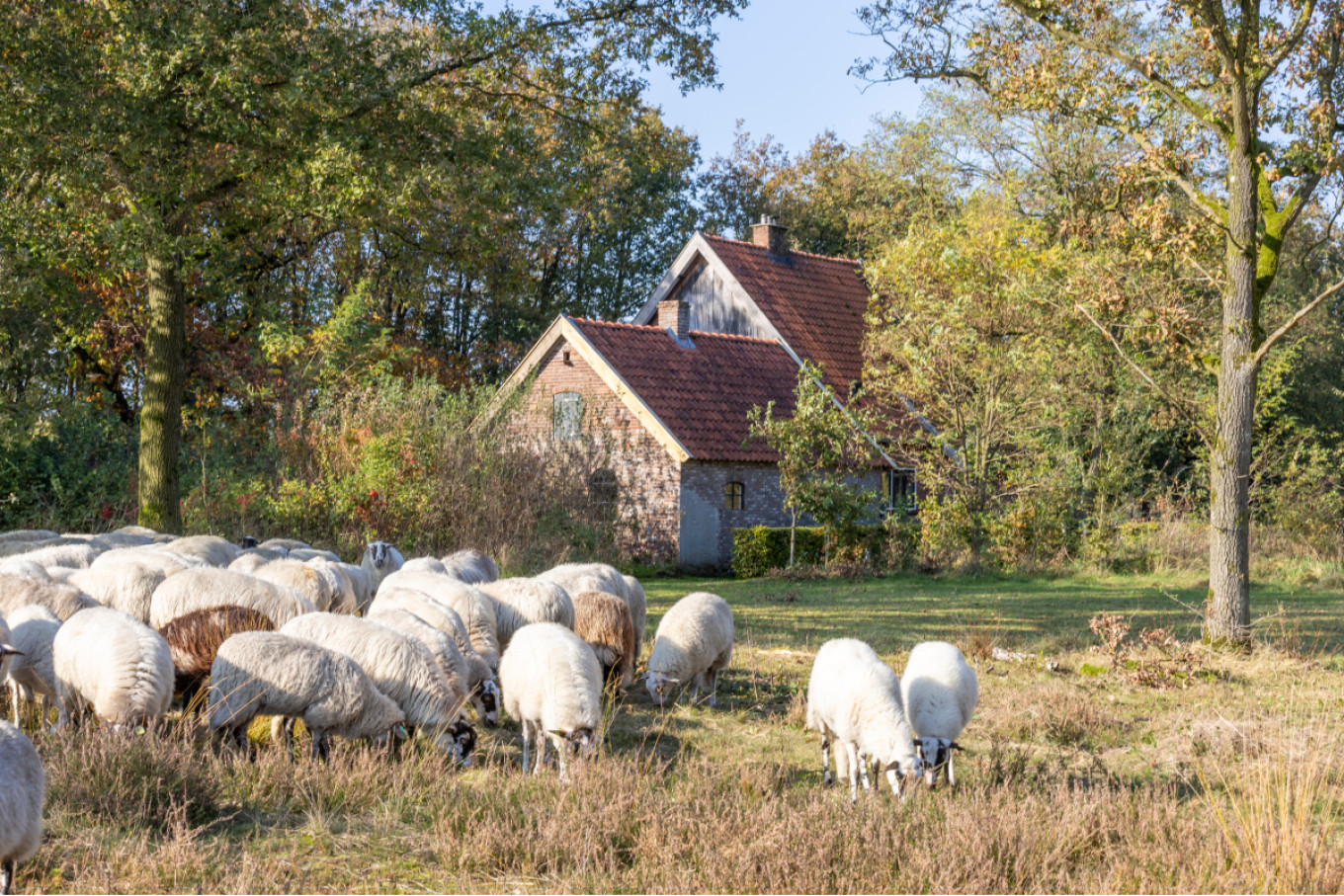 Als Geluksvogel mag je hier na zonsondergang blijven. 