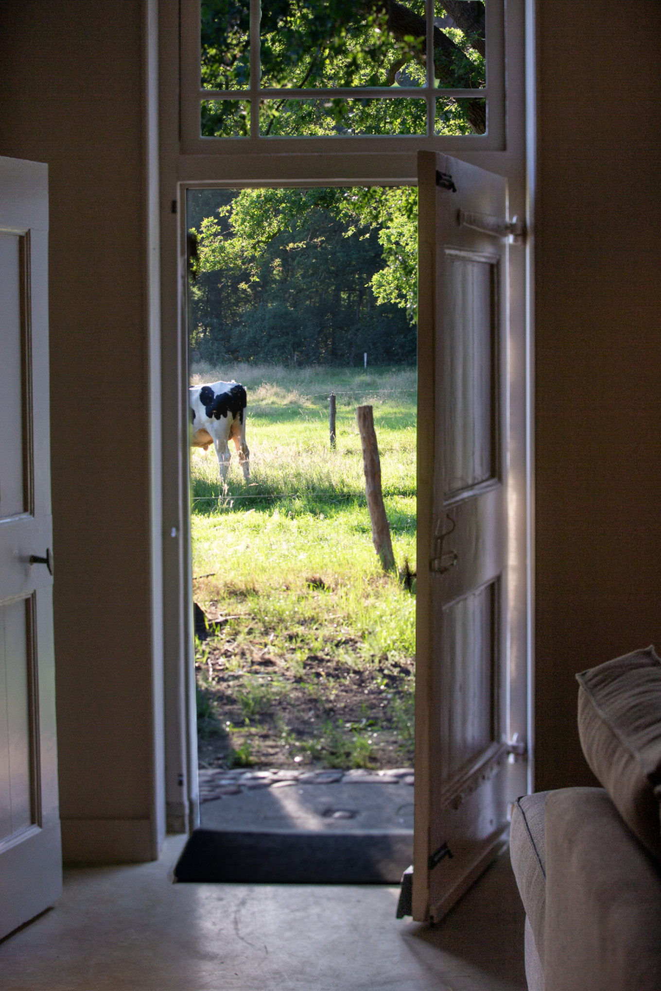 Hier stap je naar buiten en komt de natuur bij je binnen. 