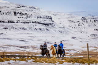 Uniek in IJsland: rijd te paard over het ijs bij Mývatn en beleef een magisch winteravontuur.