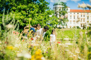 Er is geen gebrek aan groen in Nedersaksen! © Celle Tourismus.